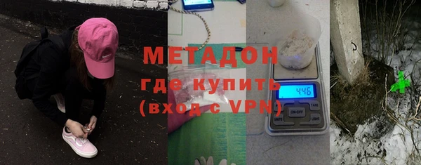 индика Арсеньев