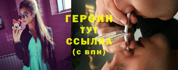 индика Арсеньев
