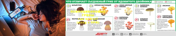 индика Арсеньев