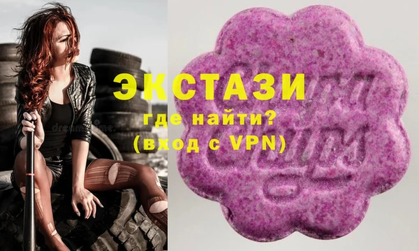 индика Арсеньев