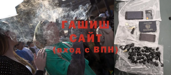 индика Арсеньев