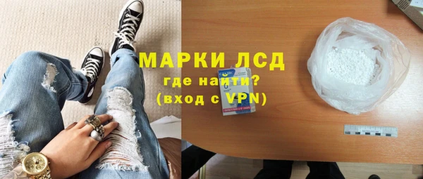 индика Арсеньев