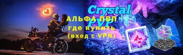 индика Арсеньев