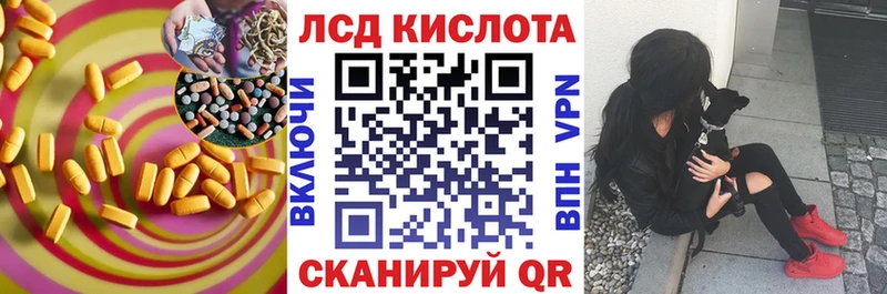 kraken ТОР  Приморск  Лсд 25 экстази ecstasy 