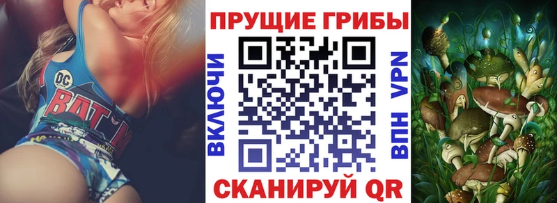 купить закладку  Приморск  Галлюциногенные грибы прущие грибы 